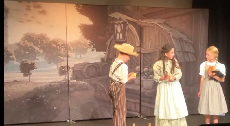 Wizard of Oz (a) - A1 STAGE - POP-UP FLATS 2.3m high - PHOTOS - 26