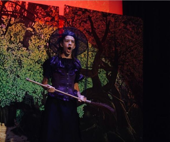 Wizard of Oz (a) - A1 STAGE - POP-UP FLATS 2.3m high - PHOTOS - 35