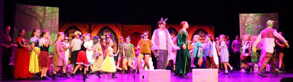 Shrek - A1 STAGE - POP-UP FLATS 2.3m high - PHOTOS - 64