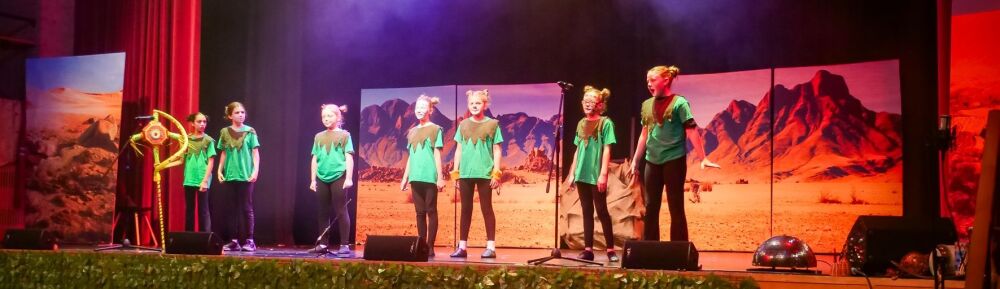 Lion King - A1 STAGE - POP-UP FLATS 2.3m high - PHOTOS - 19