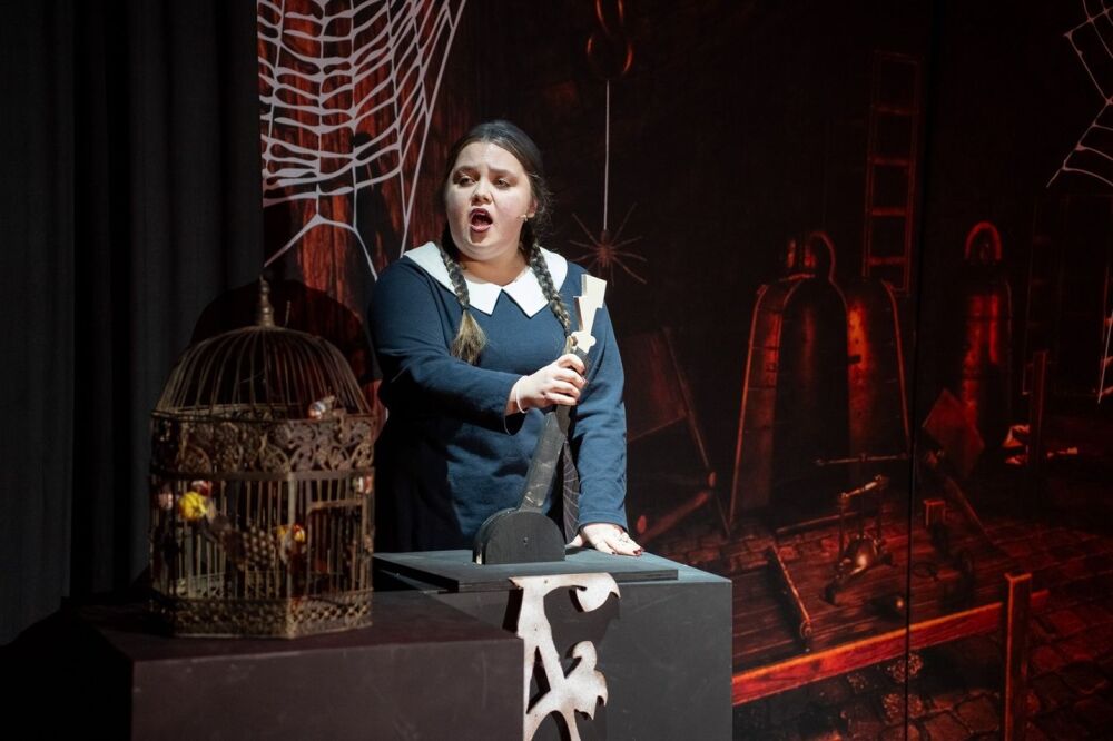 Addams Family - A1 STAGE - POP-UP FLATS 2.3m high - PHOTOS - 71