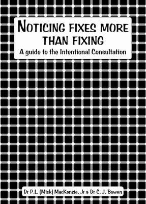 Noticing Fixes more than Fixing (E-book)