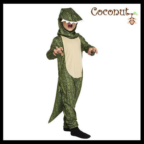 Dinosaur Child Costume