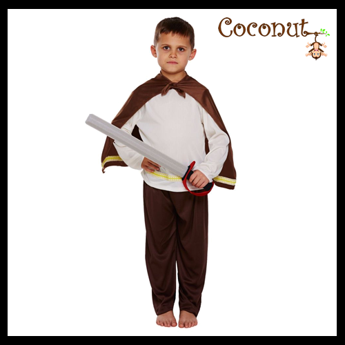 Viking Boy Child Costume