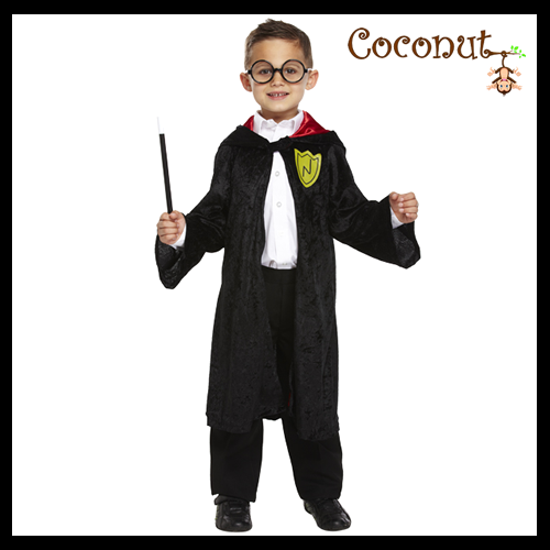 Wizard School Robe Child Costume
