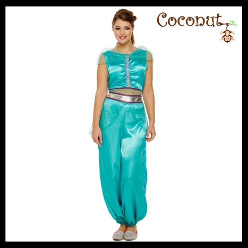 Arabian Princess  Adult Costume