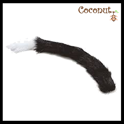 Cat Tail Black & White
