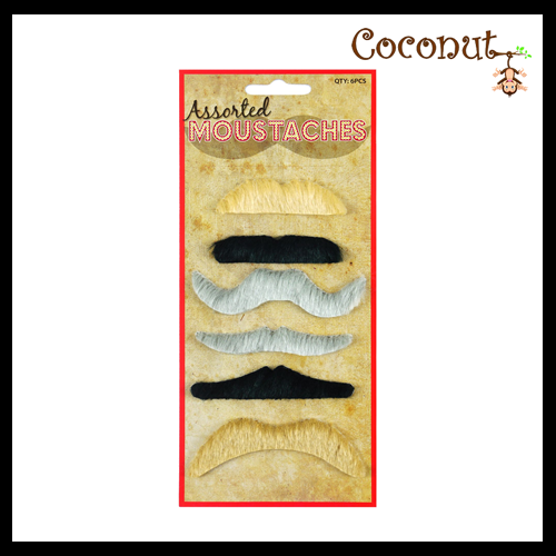 Assorted Moustaches Set (6 Assorted Styles And Colours)