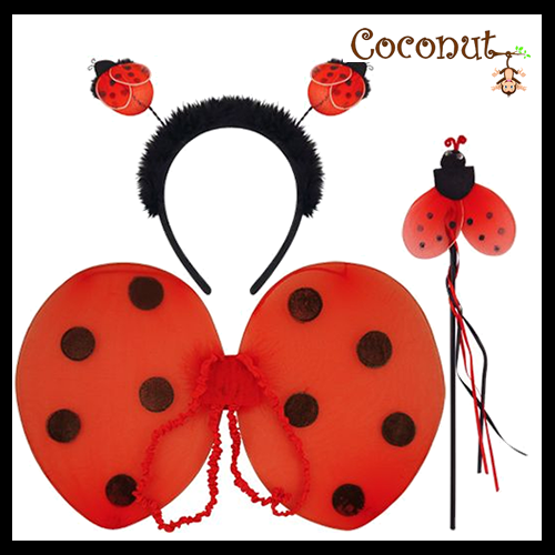 Ladybird Set