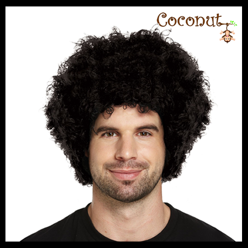 Black Afro Wig