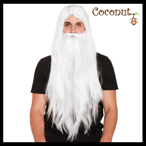 Wizard Wig And Beard