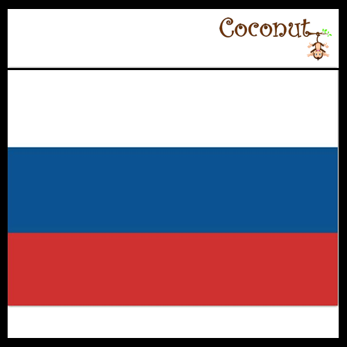 Russia Flag