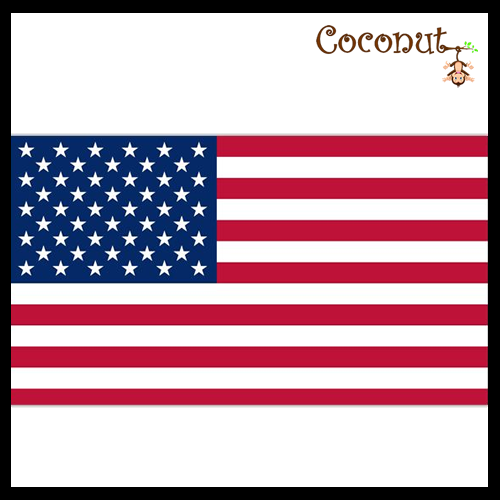 USA Flag