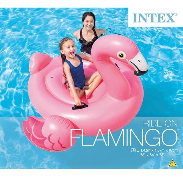 Ride-On Flamingo