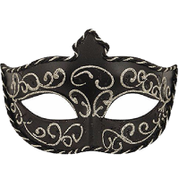 Black Mask With Silver Cord Trim