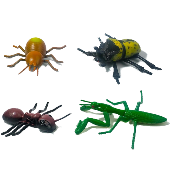 Large Plastic Insect Toy