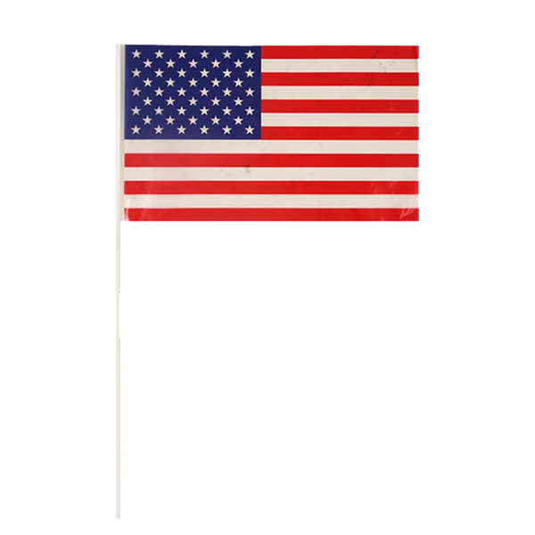 USA Hand Flag