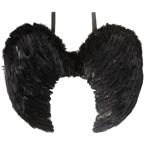 Feather Angel Wings Black