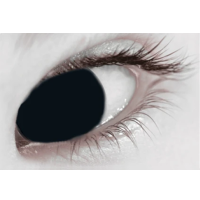 Black Out Contact Lenses (Daily)
