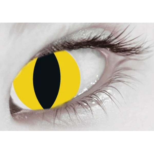 Wild Cat Contact Lenses (Daily)