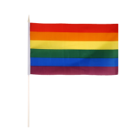 Pride Flag On Stick