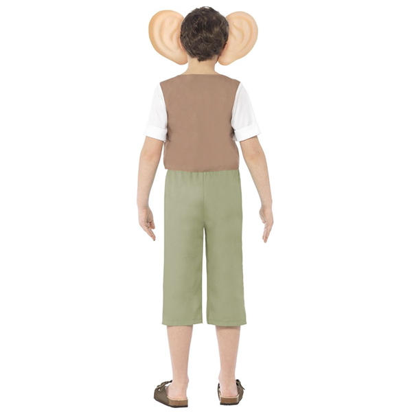 Roald Dahl The BFG Child Costume