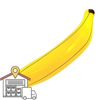 Banana XL WAREHOUSE