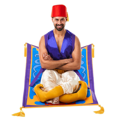 Disney Aladdin Flying Carpet Adult Costume 