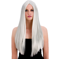 Classic Long Wig Silver