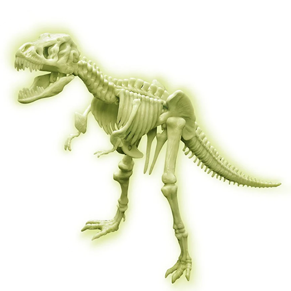 Glow In The Dark T-Rex Skeleton