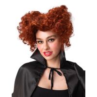 Funny Witch / Queen Of Hearts Wig
