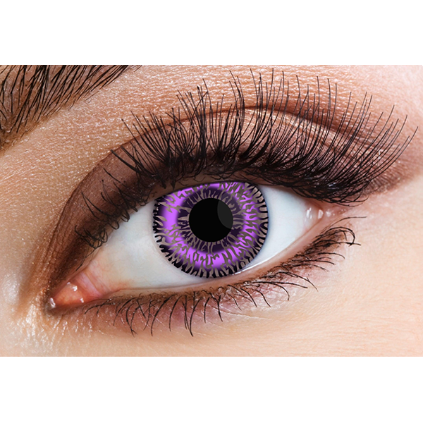 Violet Two Tone 30 Day Cosmetic Lenses