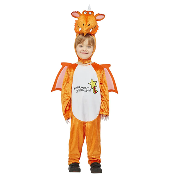 Julia Donaldson Zog Child Costume