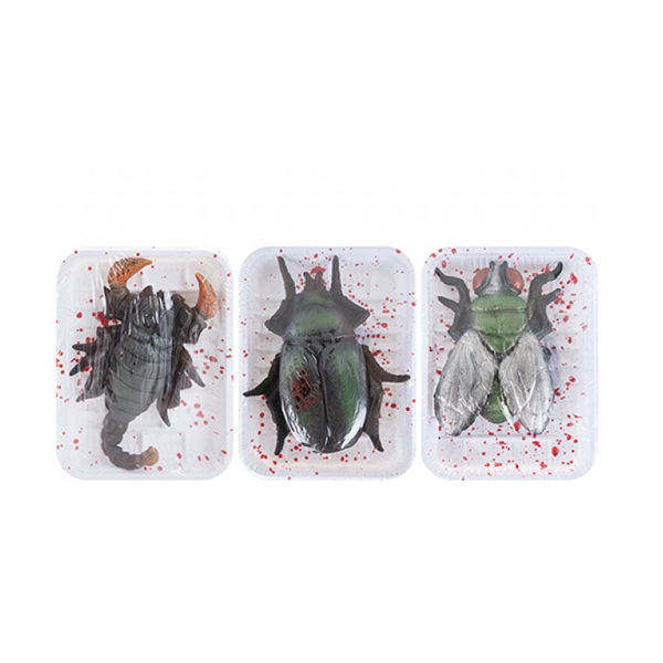 Halloween Insects In Tray