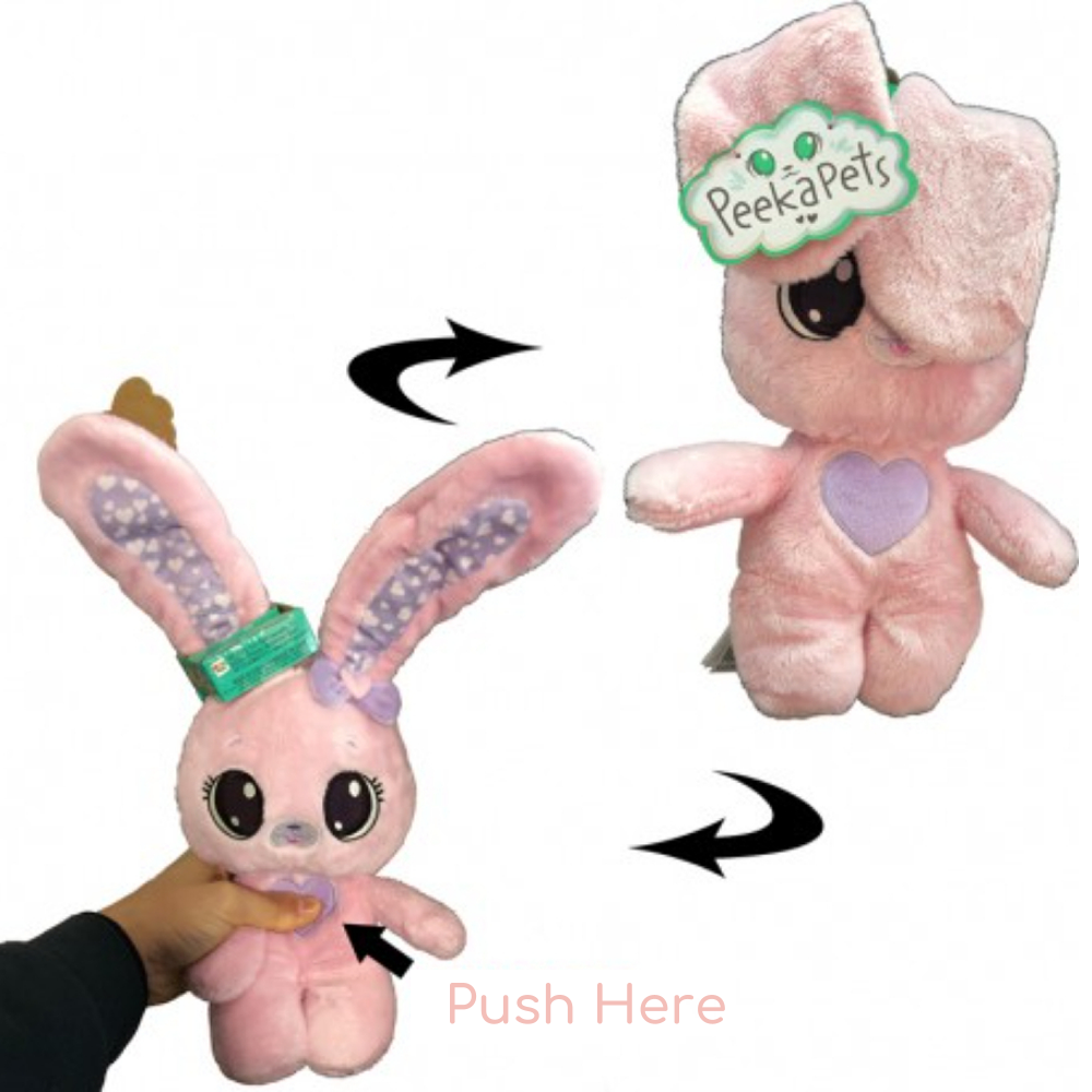 Peekapets Assorted Teddy