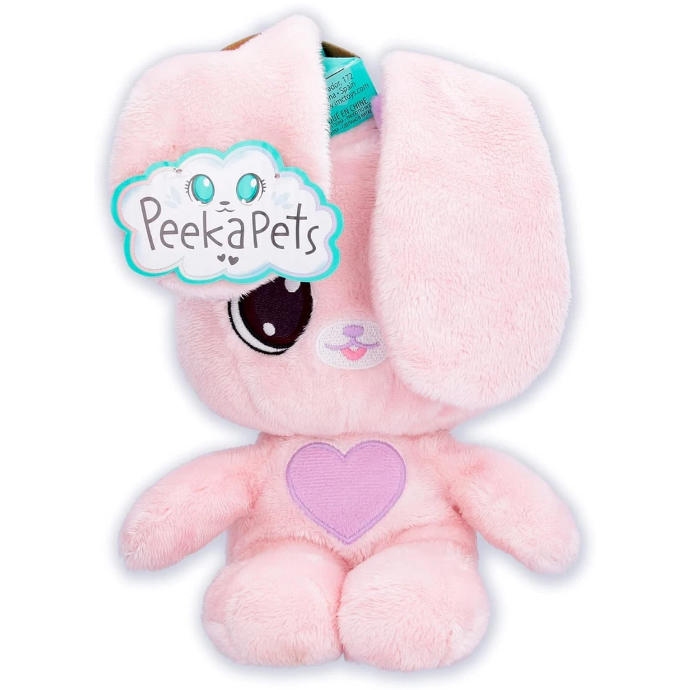 Peekapets Assorted Teddy