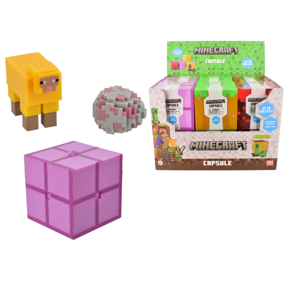 Minecraft Blind Capsule
