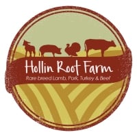 hollin root logo hollin root logo