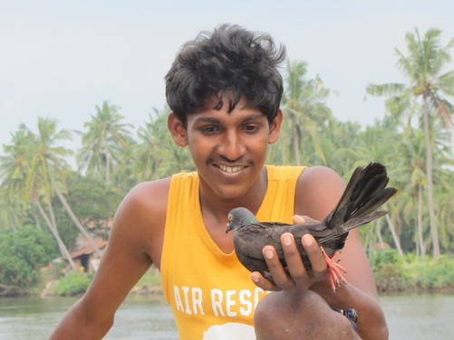 boy with blue rock pigeon