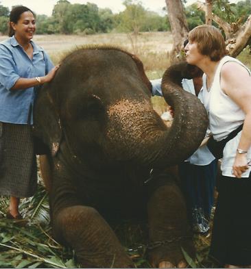 Sigiriya elephant 1996