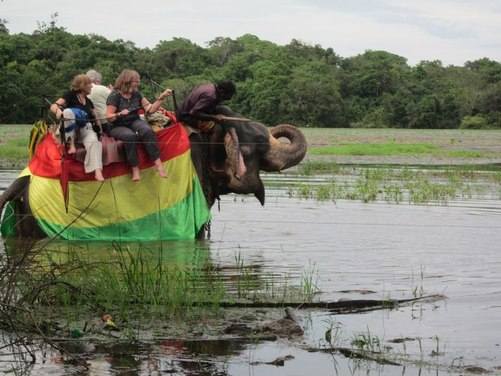 Elephant ride Pats