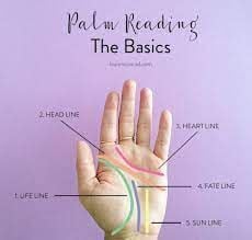 Illustrated instructions of how to read palms