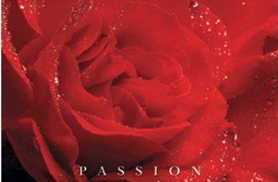 Illustrated instructions for a spell to Rekindle passion in your relationship