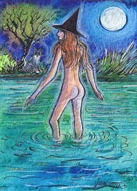 Bathed in moonlight - art print