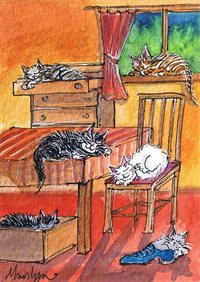 Cats sleep anywhere - art print