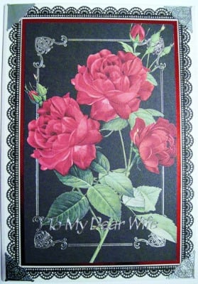 Red Roses, black lace