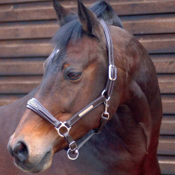 Caldene Leather Diamante Headcollar