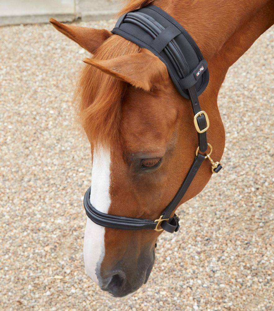 Premier Equine Magni-Teque Magnetic Poll Band