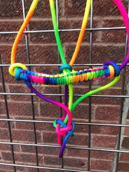 Rainbow Knotted Rope Halter