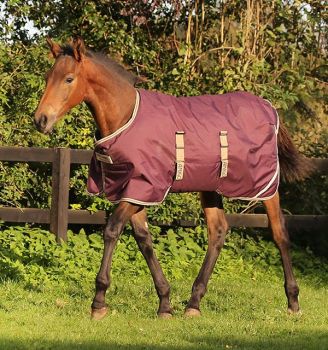 Horseware Amigo Foal Ripstop 200g RRP £75.95
